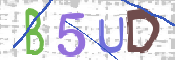 この文字を入力してください