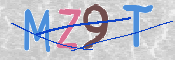この文字を入力してください