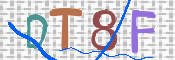 この文字を入力してください