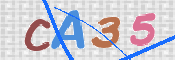 この文字を入力してください
