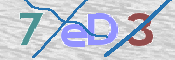 この文字を入力してください