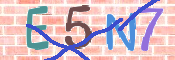 この文字を入力してください