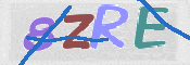 この文字を入力してください
