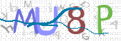 この文字を入力してください