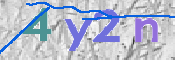 この文字を入力してください