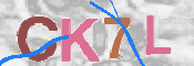 この文字を入力してください