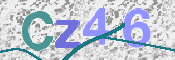 この文字を入力してください