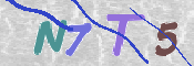 この文字を入力してください