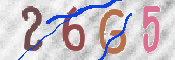 この文字を入力してください