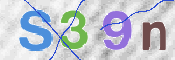 この文字を入力してください