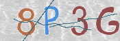 この文字を入力してください