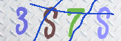 この文字を入力してください