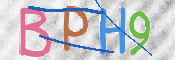 この文字を入力してください