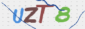 この文字を入力してください