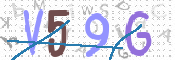 この文字を入力してください
