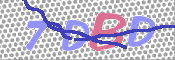 この文字を入力してください