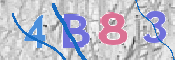 この文字を入力してください