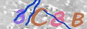 この文字を入力してください