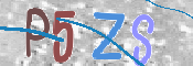 この文字を入力してください