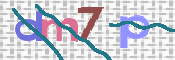 この文字を入力してください