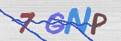 この文字を入力してください