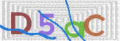 この文字を入力してください
