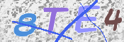 この文字を入力してください