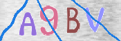 この文字を入力してください