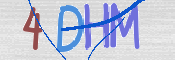 この文字を入力してください