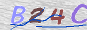 この文字を入力してください