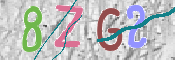 この文字を入力してください
