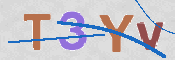 この文字を入力してください