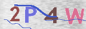 この文字を入力してください