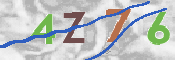 この文字を入力してください