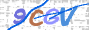 この文字を入力してください