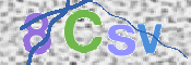 この文字を入力してください