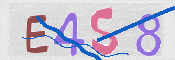 この文字を入力してください