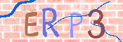 この文字を入力してください