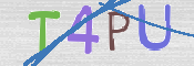 この文字を入力してください