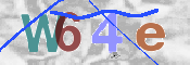 この文字を入力してください
