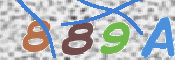 この文字を入力してください
