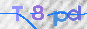 この文字を入力してください