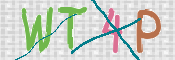 この文字を入力してください
