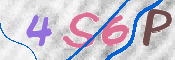 この文字を入力してください