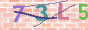 この文字を入力してください