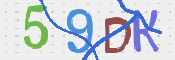 この文字を入力してください