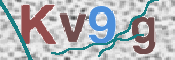 この文字を入力してください