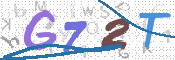 この文字を入力してください