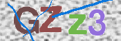 この文字を入力してください