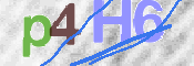 この文字を入力してください